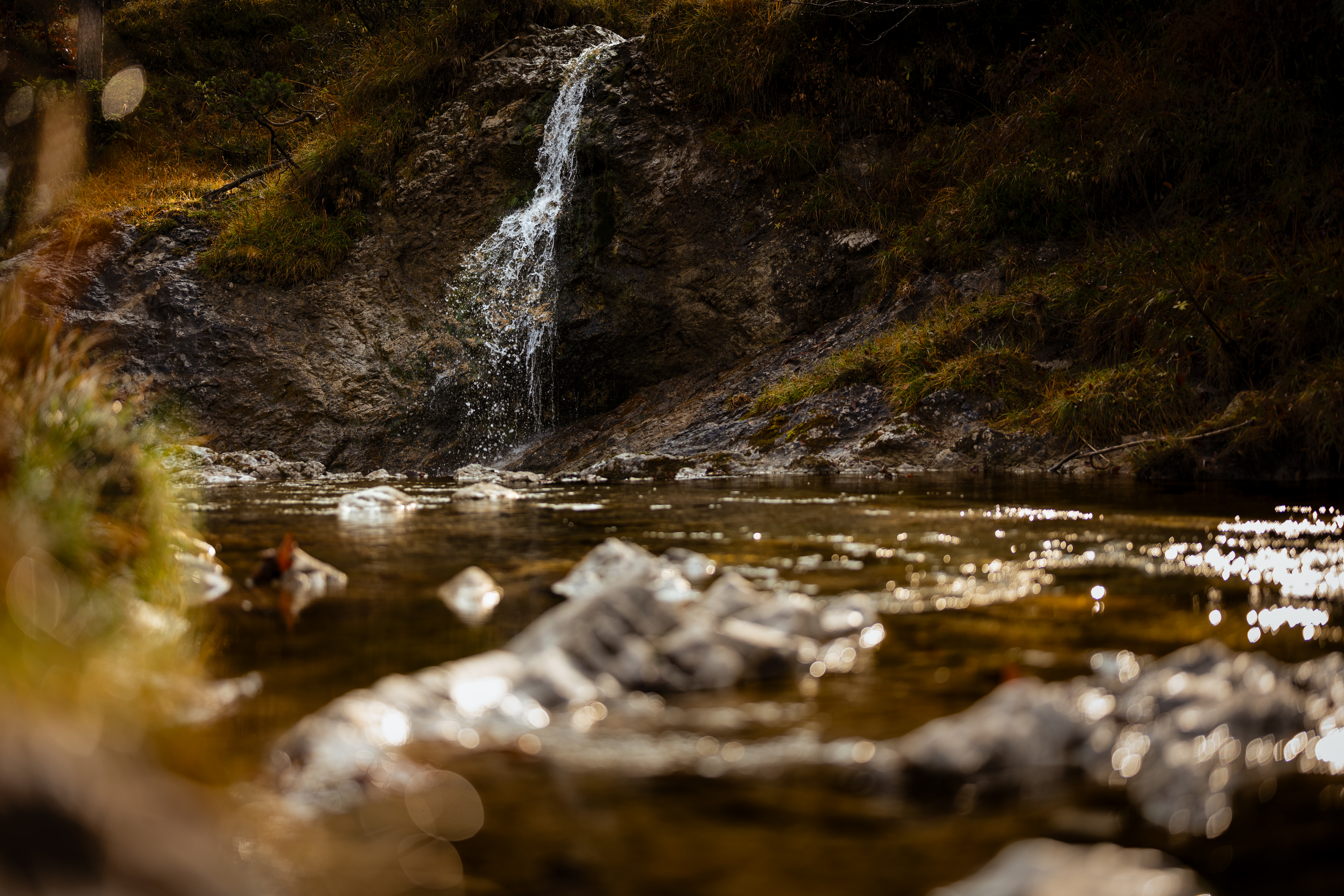 Schronbachtal    0877